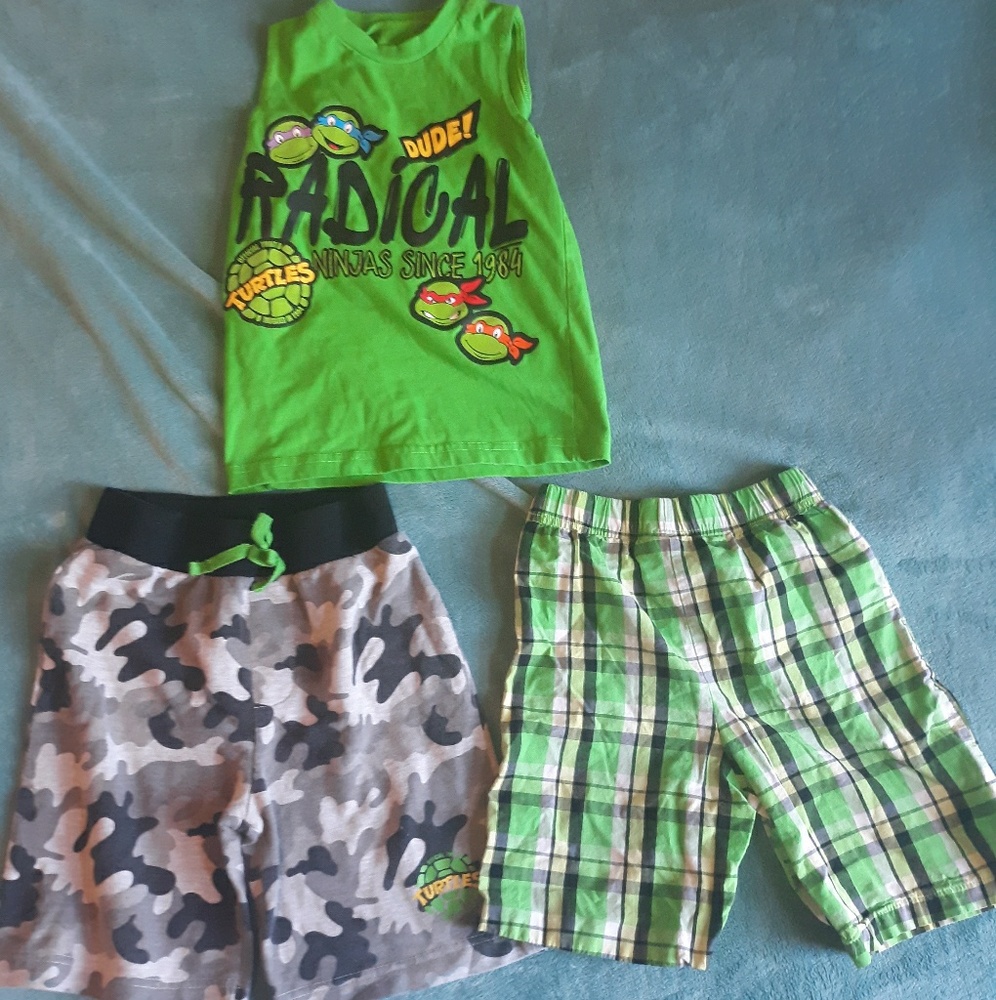 Ninja turtle lot